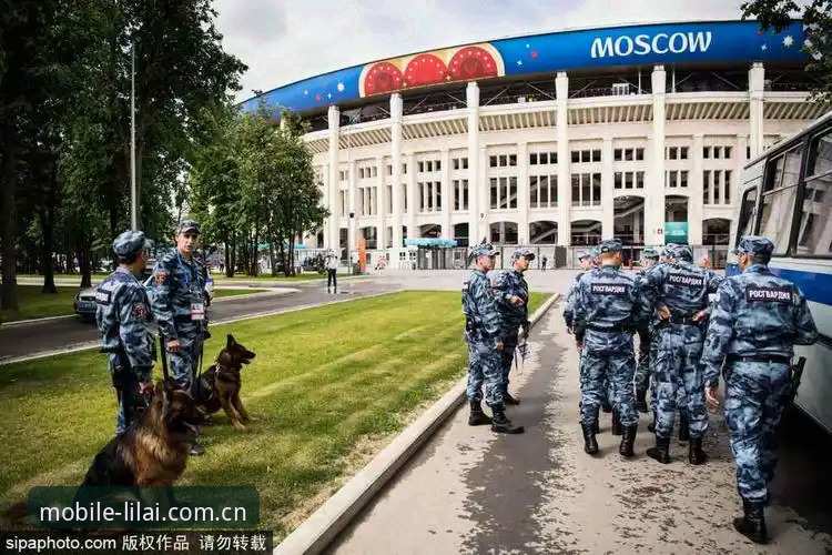 利来体育登录 世界杯安保部署变化操作教程:从英国警员缩减看赛事安全新策略